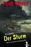 Der Sturm - R.L. Stine