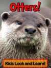 Learn About Otters and Enjoy Colorful Pictures - Look and Learn! (50+ Photos of Otters) - Becky Wolff