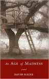 An Age of Madness - David Maine