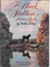 The Black Stallion Picture Book - Walter Farley