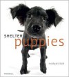 Shelter Puppies - Michael Kloth (Photographer)