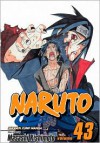 Naruto, Vol. 43:  The Man with the Truth (Naruto, #43) - Masashi Kishimoto