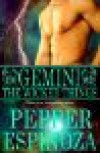 Gemini: The Wicked Things (Boys of the Zodiac #3) - Pepper Espinoza