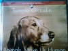 Animals Make Us Human - Temple Grandin, Catherine Johnson, Andrea Gallo