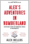 Alex's Adventures In Numberland - Alex Bellos