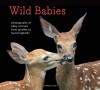 Wild Babies: Photographs of Baby Animals from Giraffes to Hummingbirds - Traer Scott