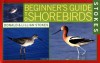 Stokes Beginner's Guide to Shorebirds - Donald Stokes, Lillian Stokes