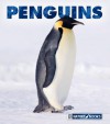 Penguins - Jenny Markert
