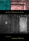 An Eye Fluent in Gray (Seven Kitchens Editor's Series #9) - Gabriel Welsch