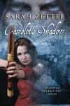 In Camelot's Shadow -  Sarah Zettel