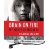 Brain on Fire: My Month of Madness - Susannah Cahalan