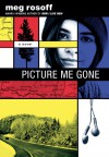 Picture Me Gone - Meg Rosoff