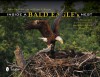 Inside a Bald Eagle's Nest: A Photographic Journey Through the American Bald Eagle Nesting Season - Ed D. Gorrow, Craig A. Koppie