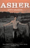 Asher (Boys South of The Mason Dixon #1) - Effy Vaughn