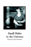 Small Holes in the Universe - David Swerdlow