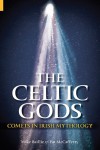 The Celtic Gods: Comets in Irish Mythology - Patrick McCafferty;Mike Baillie