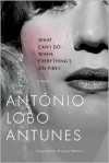 What Can I Do When Everything's on Fire? - Antonio Lobo Antunes,  Gregory Rabassa (Translator)