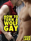 How to Turn a Wolf Gay - Josh Lark