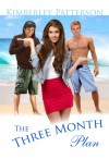 The Three Month Plan - Kimberley Patterson