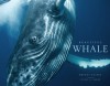 Beautiful Whale - Bryant Austin