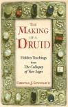 The Making of a Druid: Hidden Teachings from <I>The Colloquy of Two Sages</I> - Christian J. Guyonvarc'h