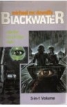Blackwater, Vol. 2: The War / The Fortune / Rain - Michael McDowell