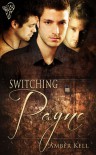 Switching Payne - Amber Kell