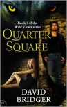 Quarter Square - David Bridger