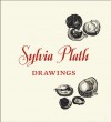 Sylvia Plath: Drawings - Sylvia Plath, Frieda Hughes