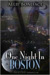 One Night in Boston - Allie Boniface