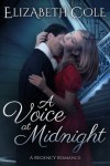 A Voice at Midnight - Elizabeth  Cole