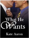 What He Wants - Kate Aaron