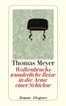 Wolkenbruchs wunderliche Reise in die arme einer Schickse - Thomas Meyer