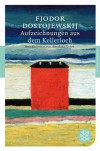 Aufzeichnungen aus dem Kellerloch: Roman (Fischer Klassik) - Fjodor M. Dostojewskij