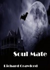 Soul Mate - Richard  Crawford