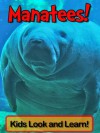 Manatees! Learn About Manatees and Enjoy Colorful Pictures - Look and Learn! (50+ Photos of Manatees) - Becky Wolff