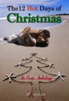 The 12 Hot Days of Christmas - Lori Perkins,  C. Margery Kempe,  Lisa Lane,  Cecilia Tan