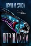 Deep Black Sea - David M. Salkin