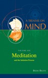 Meditation and the Initiation Process (A Treatise on Mind, Vol 6) - Bodo Balsys