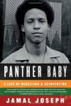 Panther Baby: A Life of Rebellion and Reinvention - Jamal Joseph