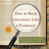 How to Read Literature Like a Professor: A Lively and Entertaining Guide to Reading Between the Lines - HarperAudio, David de Vries, Thomas C. Foster