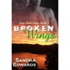 Broken Wings (Soul Searchers, #1) - Sandra Edwards