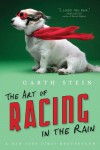 The Art of Racing in the Rain - Garth Stein