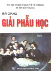 Bài giảng Giải Phẫu Học (Bài giảng Giải Phẫu Học, #2) - Nguyễn Quang Quyền, Lê Văn Cường, Võ Văn Hải, Trần Hùng, Phan Bảo Khánh, Nguyễn Hoàng Vân, Nguyễn Trung Vinh, Dương Văn Hải, Nguyễn Thiện Hùng, Ngô Trí Hùng, Lương Thị Bạch Vân