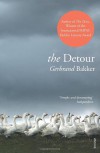 The Detour - Gerbrand Bakker, David Colmer