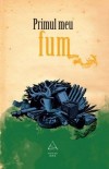 Primul Meu Fum (Prima dată, #4) - Andra Matzal