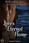 Love's Eternal Flame (SOUL MATES, #5) - Cynthia P. James