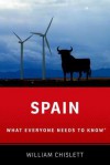 Spain: What Everyone Needs to Know - William Chislett