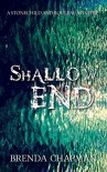 Shallow End: A Stonechild and Rouleau Mystery - Brenda Chapman