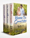 Home To Green Valley Boxed Set: Books 1-3 - Virna DePaul